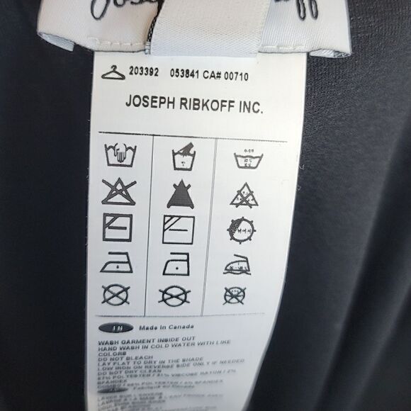 JOSEPH RIBKOFF - Picture 8 of 9